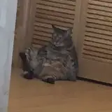 にょたヨフ from fanbox