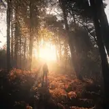 Łukasz Sieku from patreon
