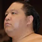 Mbovo Sumo from patreon