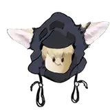 Roriipupper from patreon