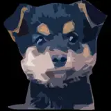 pop_doggy from patreon