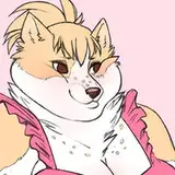 jelliroll from patreon