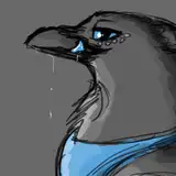 MagpieMagnetism from patreon