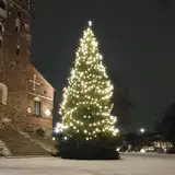 PicsFromFinland from fanbox