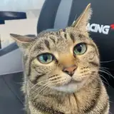 delightss from patreon