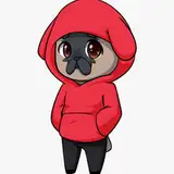 Pug from patreon