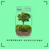 Homemade_ecoystems from patreon