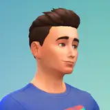 frankkulakmods from patreon