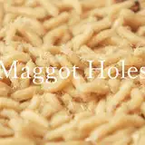 Maggot Holes from fanbox