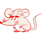 dop from fanbox
