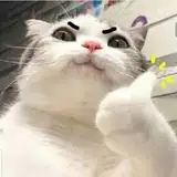 MassaHJ from patreon