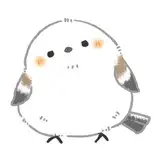 ponpon from fanbox
