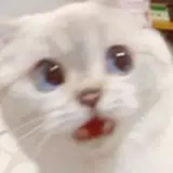 Love$ from patreon