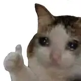 Hahasammi  from patreon