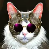 Baron Von Meowsberg from patreon
