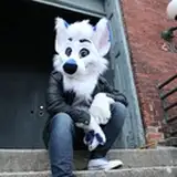 marksbarks from patreon