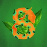 Seamless Team from gumroad