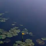 still_waters from patreon