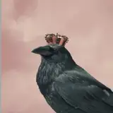 MeepKing from patreon