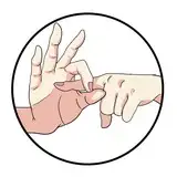 わるぷるぎす from fanbox