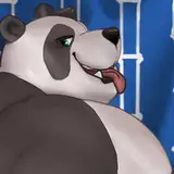bin from patreon